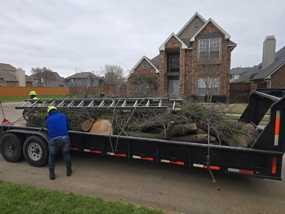 Expert Lot Clearing with proper safety equipment in Wiota